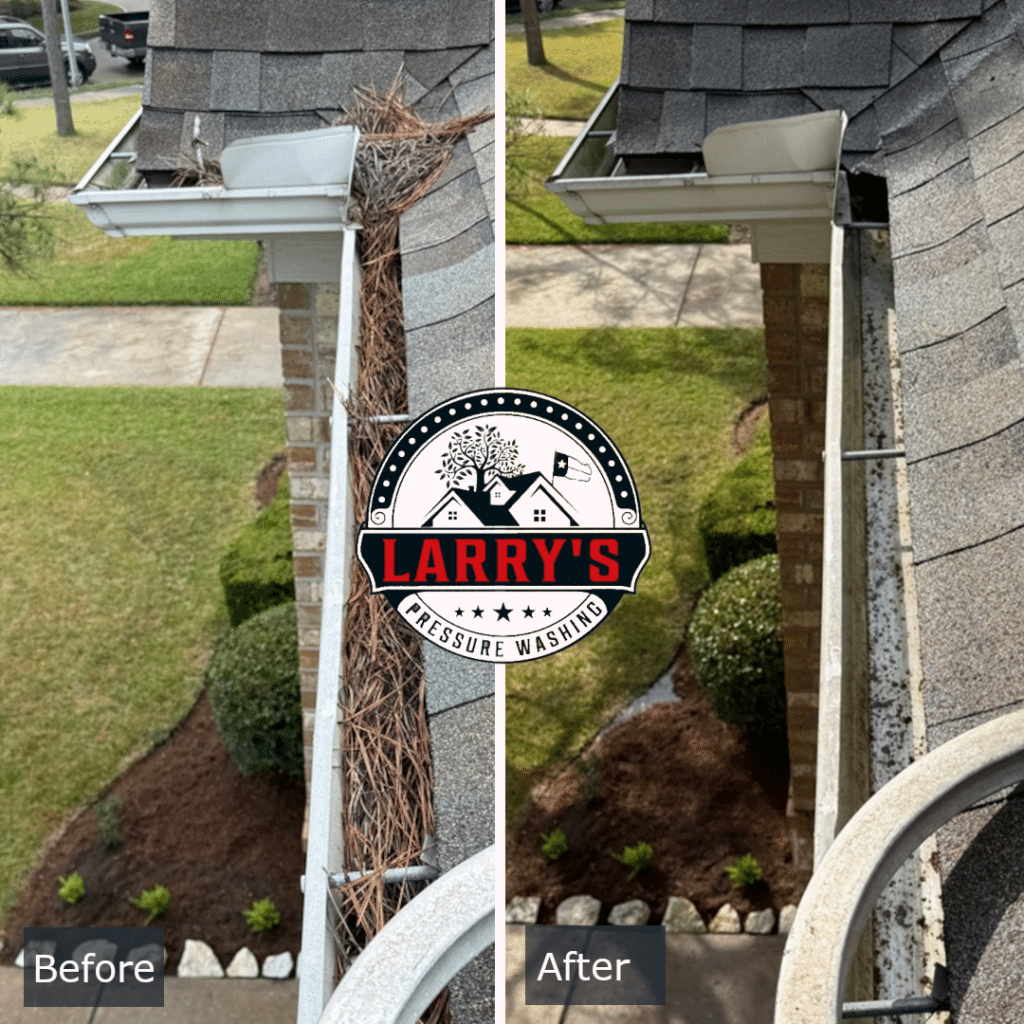 gutter cleaning